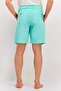 Men Regular Fit Brand Logo 9 Inseam 20 Outseam Board Shorts, Turquoise - 4