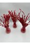 Artificial Flower-3Pcs Natural Dry Flower in Transparent Vase - 3