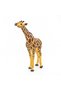 Giraffe Figurine With Head Raised - 6