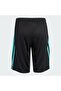 Mercedes Amg Petronas Kids Shorts - 2