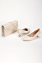 Women's Thin Heels Pointed Toe Stiletto and Bag Set