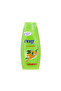 Shampoo 400 ml Greasy Hair Mandarin 60098 --- برت بلس شامبو للشعر الدهني بالمندرين 400 مل