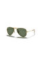 RJ9506S Model Children's Sunglasses - 223/71