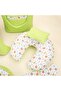 18 Piece Full Set - Double Sided - Pistachio Green Honeycomb - Green Pumpkin - 3