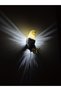 Realistic Eagle Sconce Model - with Black-Yellow Colors (with Adapter)