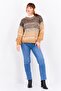Women Crew Neck Ombre Knitted Sweater, Multicolor - 4