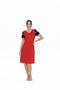 Us Polo 100% Cotton, Women's Wide V-Neck, Short Sleeve, Midi Nightgown - 2