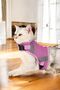 Dog Collar Chest Neck Harness Set with Leash, Sweat-Resistant, Breathable, Reflective Collar