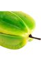 Artificial Fruit Green - 3
