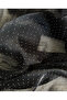 Imported Shiny Organza with Stones - 4