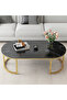 Modern Design Luxury Coffee Table Living Room Tea Table Home Furniture 100*50*45 Cm - 4