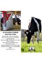 Rumen BUFFER S 500 - 4
