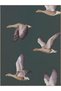 Seda Collection Flying Goose Patterned Woven Base Modern Decorative Carpet Seda23 - 5