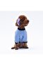 Blue Loviisa Sweat Cat Dog Sweat- Cat Dog Outfit - 3