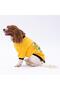 Yellow Loviisa Sweat Cat Dog Sweat- Cat Dog Outfit - 4