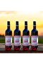 Classic 750 ML x 4 adet - 2