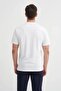 Crew Neck Regular Fit Cotton Printed T-Shirt - 2