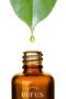 Vanilya Mum Esansı 20ml - 3