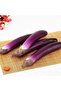 HEALLILY Realistic Artificial Eggplant, Faux Vegetables for Home, Kitchen, Party Decor Prop - 7