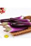 HEALLILY Realistic Artificial Eggplant, Faux Vegetables for Home, Kitchen, Party Decor Prop - 6