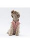 Rose Churchill Vest Dog Vest Dog Apparel Dog Raincoat - 3