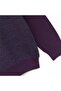 Men's Rasterless Long Sleeve Slim Zip-Up Polo Neck Sweatshirt - 180817   - Plum - Navy Blue - 3