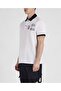 Men's Knitted Polo Shirt C.wCotton - 2