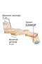37cm Length Mouse Hamster Ginepig Rabbit Guinea Pig Bird Perch - Ladder Play Track