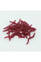 100PCs 100PCS Soft Lure Bass Bream Bloodworm Fishing Earthworm Worm Red Worms Baits Fishy Smell R.. - 3