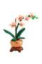 ® Botanicals Mini Orkide 10343 - 18+ Yapım Seti (274 Parça) - 3