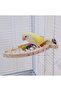 Trendme الأسماك نموذج مطرز الطيور العلياء - 4