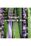 Tranquil Lavender & Aloe Scented Candle, Fragrance Infused With Essential Oils, 3.4Oz - 4