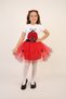 Ladybug Patterned Skirt/T-Shirt Girls' Top and Bottom Set April 23 Show Outfits D096 - 6