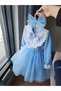 Blue Velvet Dress - 2