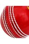 Incrediball Marathon Tennis Cricket Ball | Synthetic | Water Resistant |  Long Lasting | Pack of 1 - 5