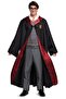 Adult Male Harry Potter Costume