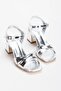 Women's Thick Heeled Style Shoes Silver