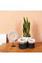 Nevşehir Natural Abaca Set of 3 Flower Pot & Storage Organization - 3