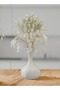 مزهرية عصرية أنيقة - قطعة ديكور أنيقة للمنزل - 2