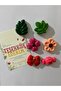 Bottiko Renkli Magnet Set 6’lı