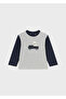 Baby Boy Long Sleeve T-Shirt Gray 2031 - 2