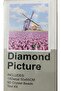 5D Diamond Bead Pasting Stone Processing Mosaic Tapestry "Tulips and Windmill" 50X65 cm