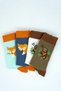 Unisex Cotton Fox Koala Special Patterned 4 Different Colored Flexible Anti-Sweat Comfortable Socks - 5