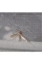 Fiberglass Fly Screen Tulle 120cmx200cm - 2