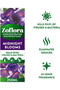 - Multipurpose Concentrated Disinfectant- Midnight Blooms, 250ml - 2