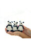 Pandalar Seti - 4