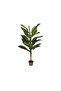 شجرة البوثوس الاصطناعية المتينة والخفيفة وسهلة الاستخدام