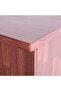 Alegra 23-pair Shoe Cabinet -dark Brown L120xw40xh120cm - 5
