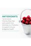 Quercetin Daily Immune Support with Vitamins C, D & Probiotics – Dr Formulated – 30 Tablets - 7