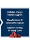 Forskolin, Coleus forskohlii, 10 mg Extract, Non-GMO, Gluten-Free, 60 Capsules, 1-2 Month Supply - 4